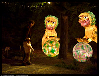 Lion Lanterns
