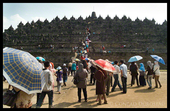 Java - Borobudur Visitors
